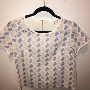 ANINNA Boutique Brand blue and white crop top